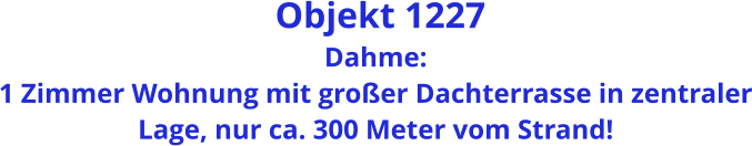 Objekt 1227 Dahme:  1 Zimmer Wohnung mit großer Dachterrasse in zentraler Lage, nur ca. 300 Meter vom Strand!